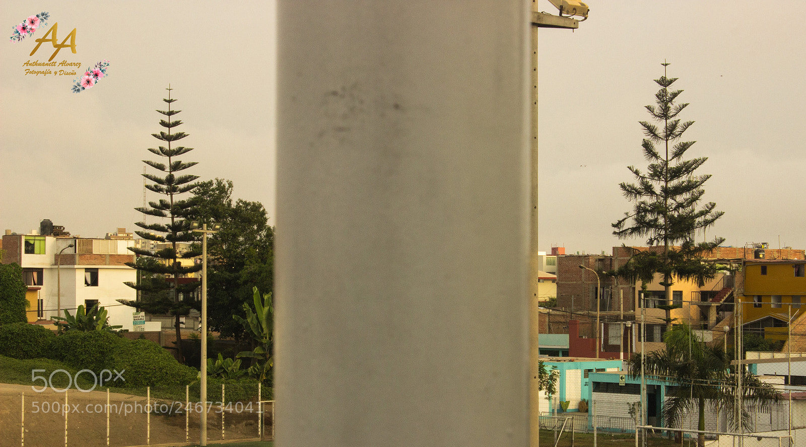 Canon EOS 600D (Rebel EOS T3i / EOS Kiss X5) sample photo. Perfecta armonia photography