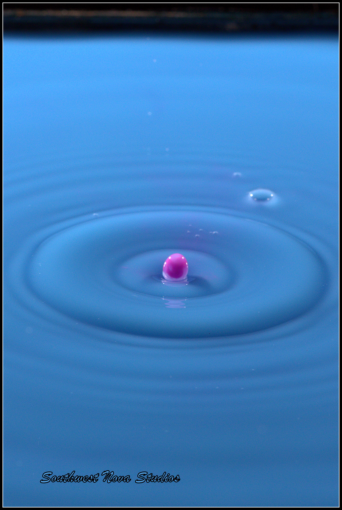 Canon EF 100mm F2.8 Macro USM sample photo. Cr photography