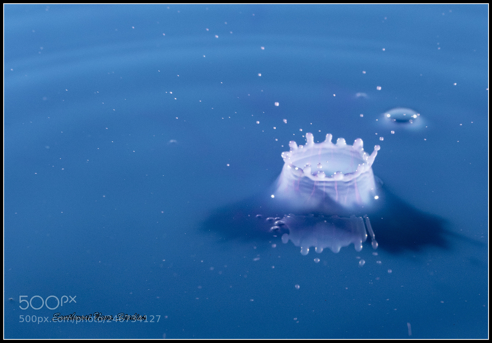 Canon EOS 7D Mark II sample photo. Crown photography