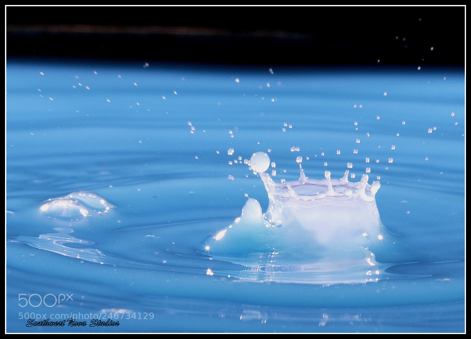 Canon EOS 7D Mark II sample photo. Crown photography