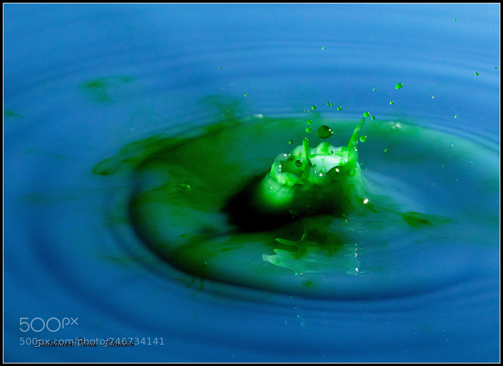 Canon EOS 7D Mark II sample photo. Green crown photography