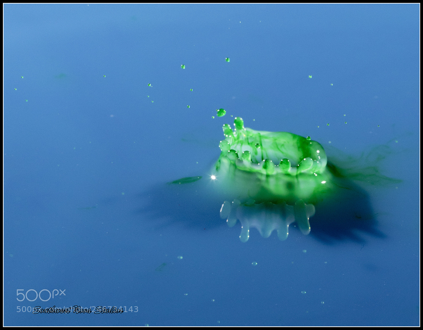 Canon EOS 7D Mark II sample photo. Green crown photography