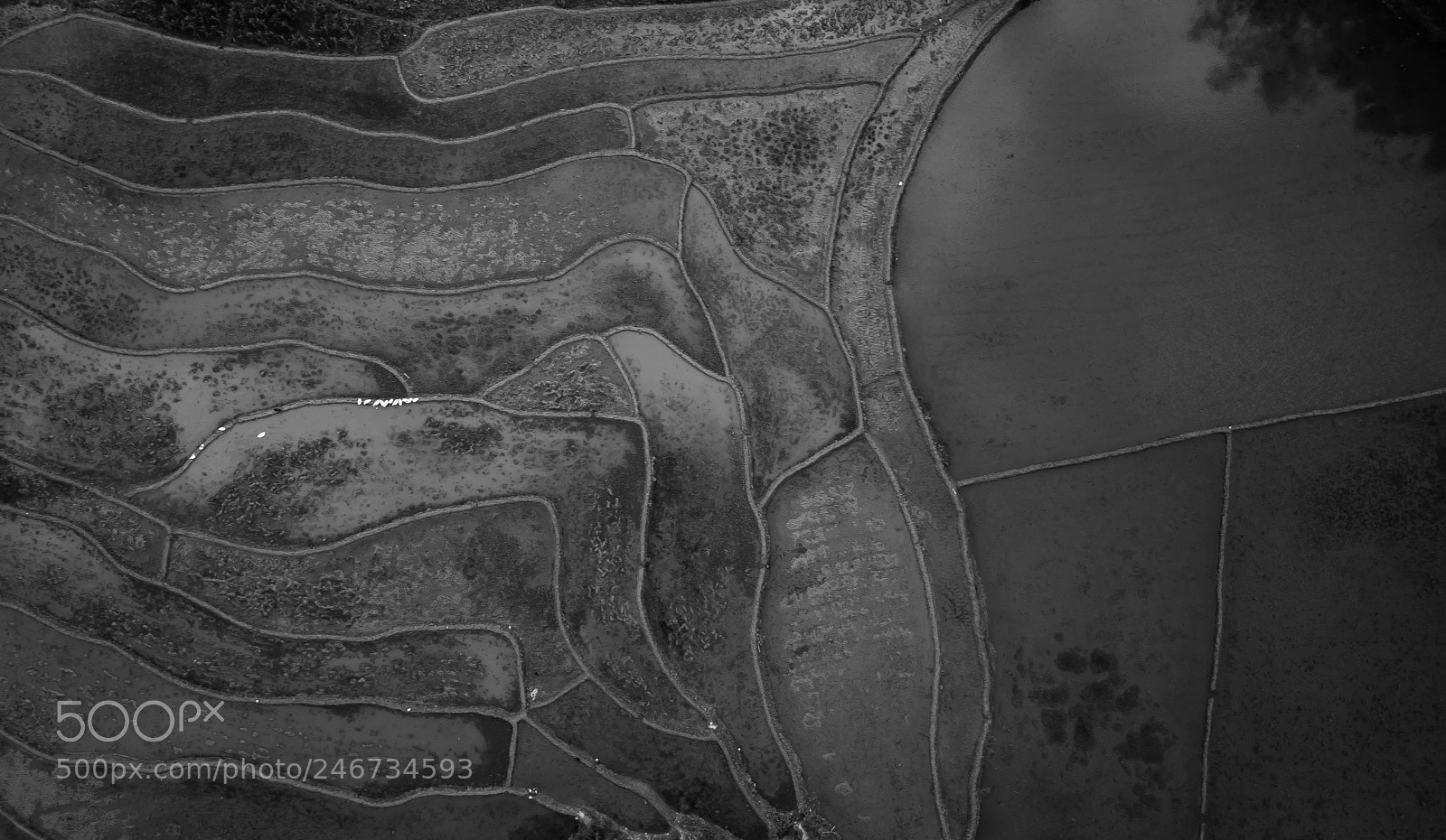 DJI FC220 sample photo. Segments photography