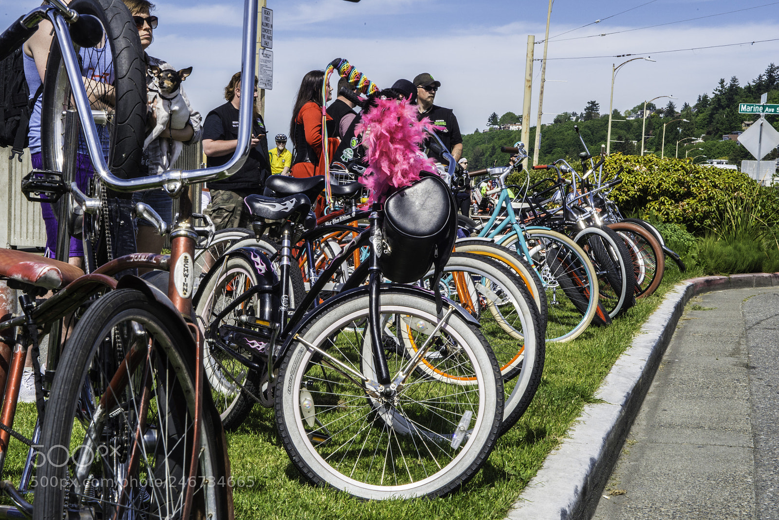 Nikon D800 sample photo. Alki bikes photography