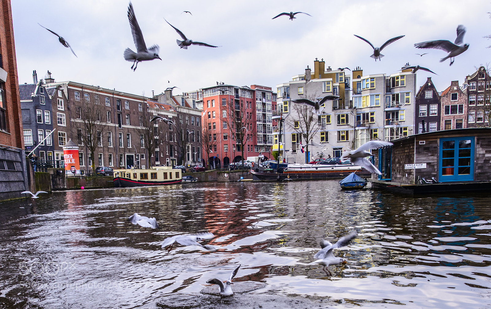 Nikon D800 sample photo. Canal cruise, amsterdam, netherlands photography