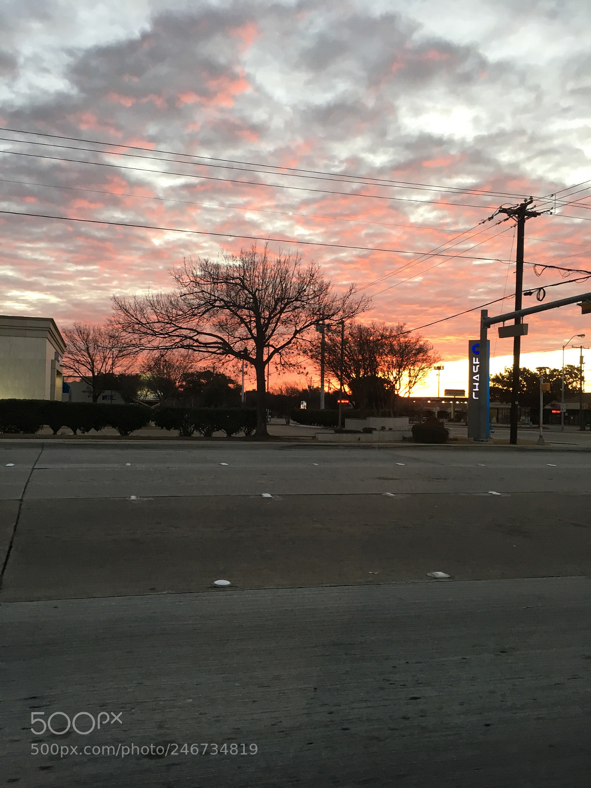 Apple iPhone 6s sample photo. Untitled photography