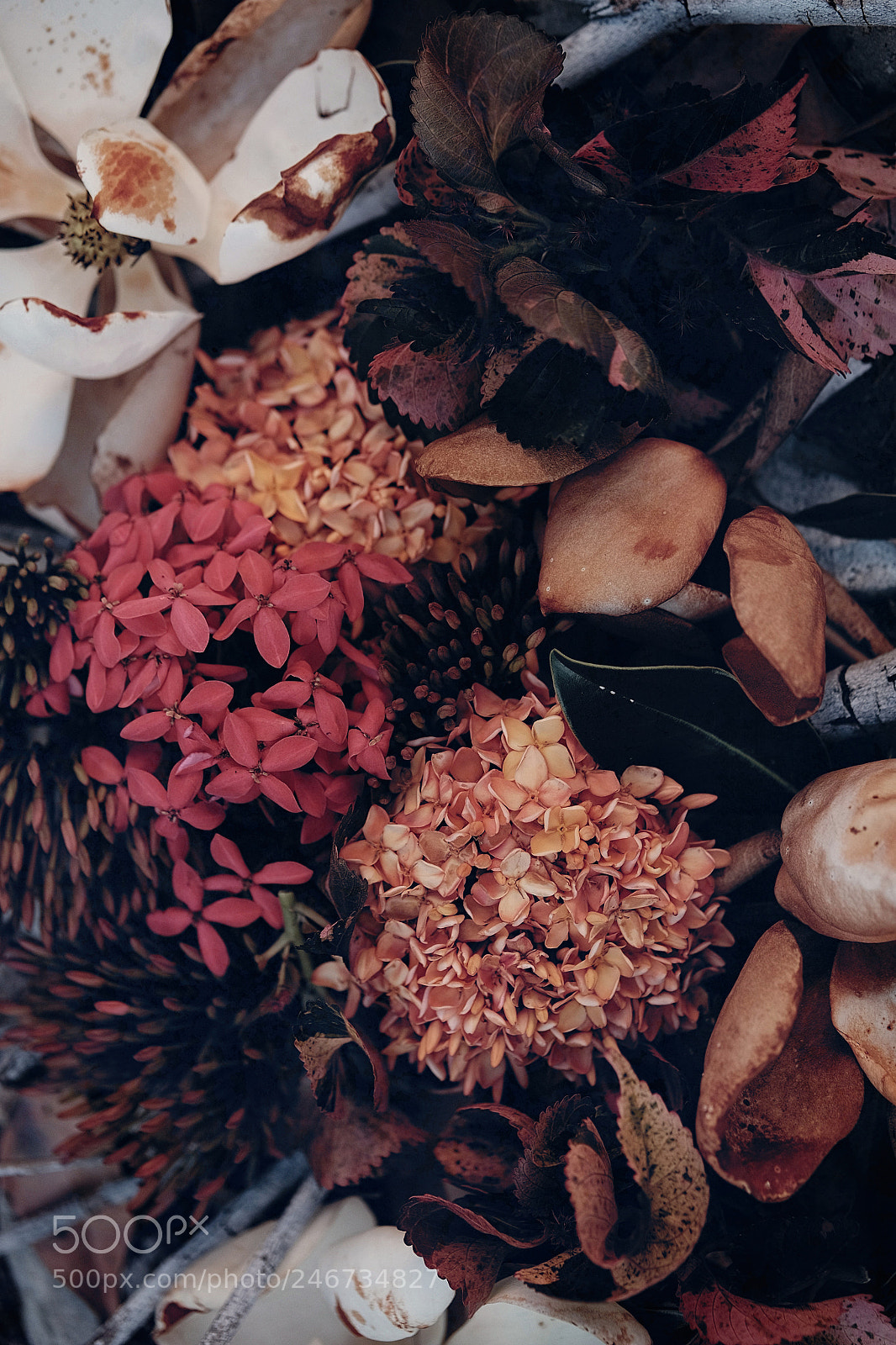 Fujifilm X-T10 sample photo. Autumn tones photography