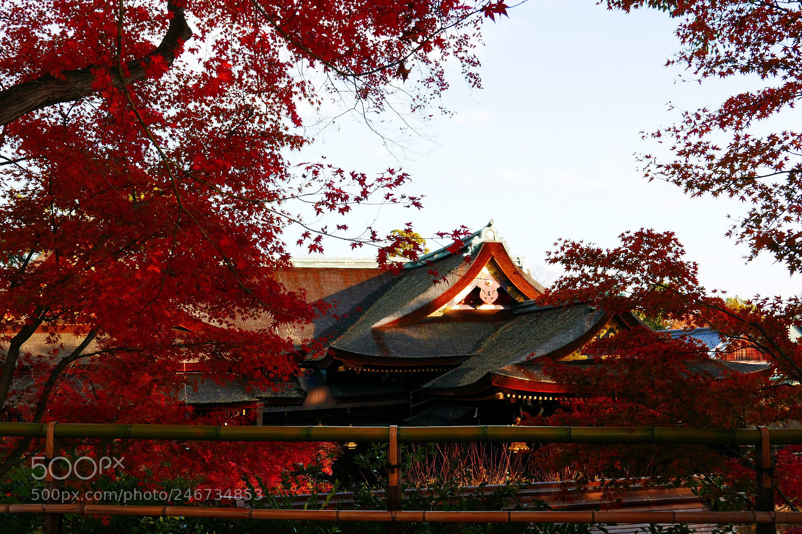 Leica D-Lux (Typ 109) sample photo. Autumn is in kyoto photography