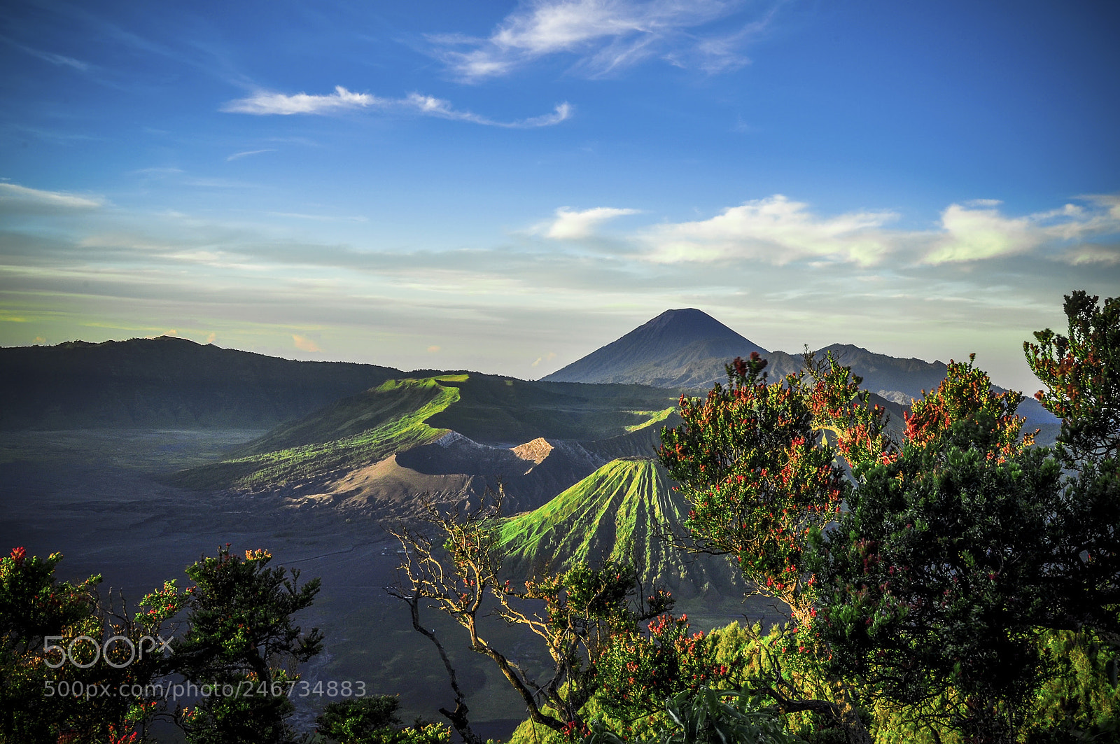 Nikon D90 sample photo. Morning in bromo photography