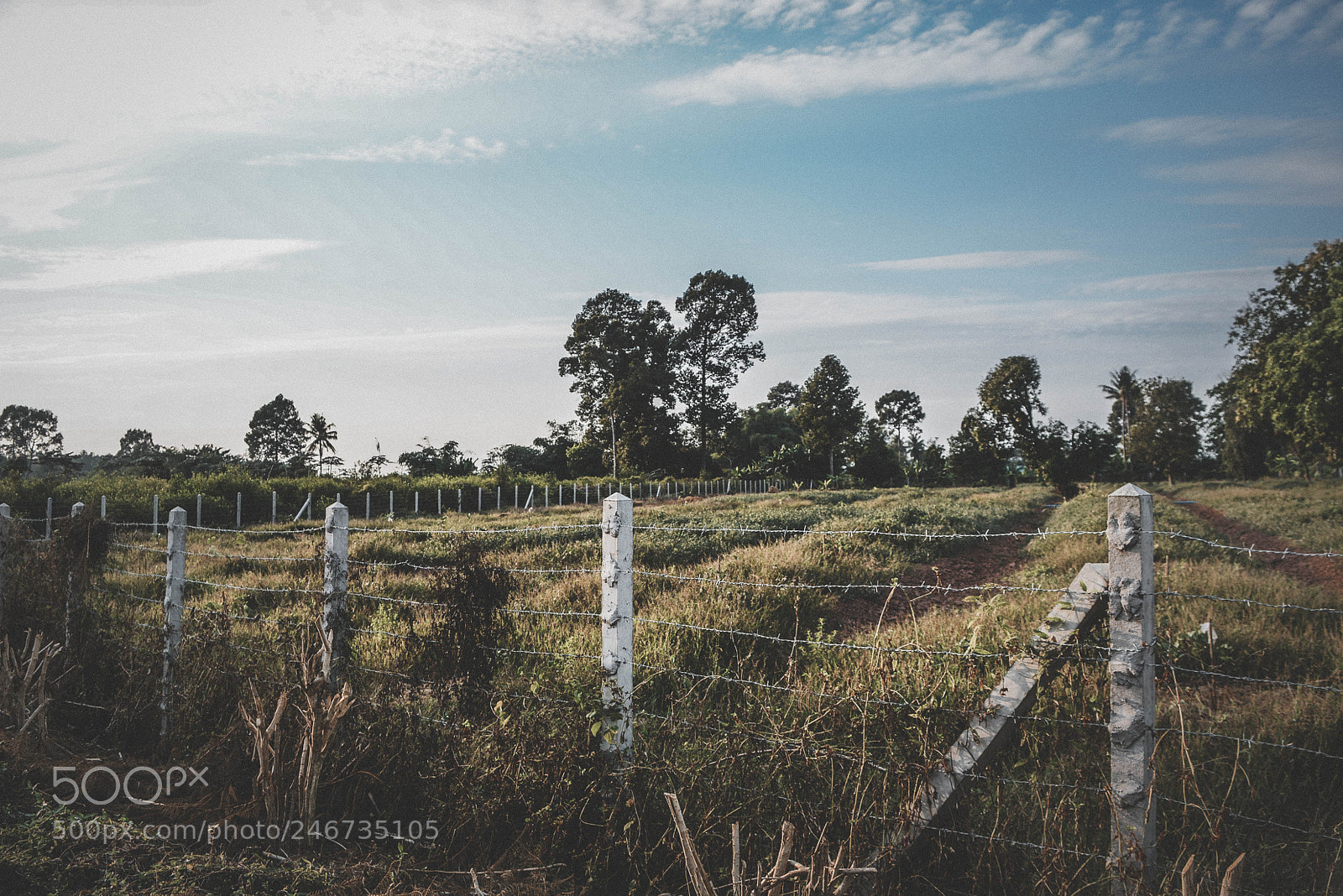 Nikon D7100 sample photo. Phichit thailand photography