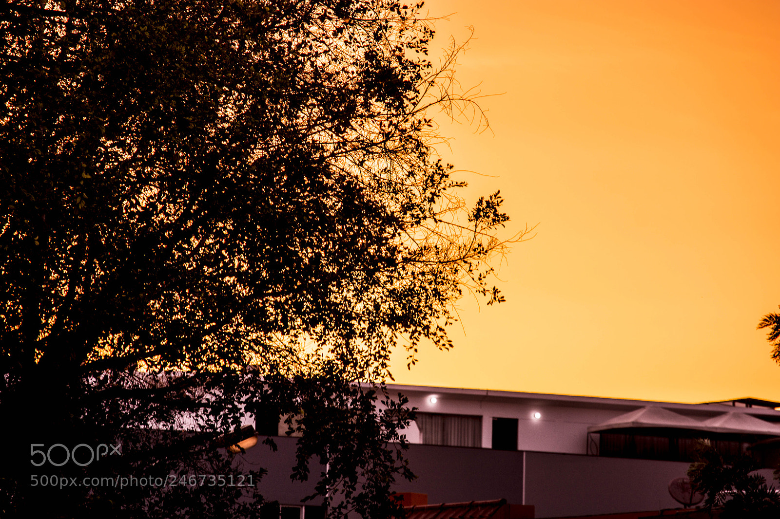 Nikon D5200 sample photo. Atardecer photography