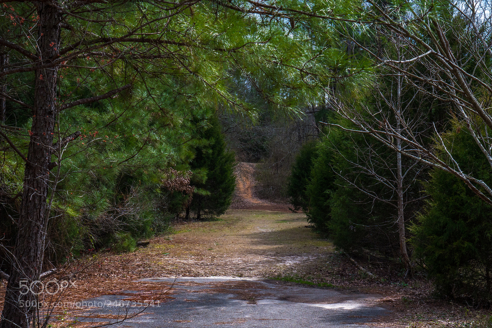 Sony a6500 sample photo. Arboretum (of ) photography