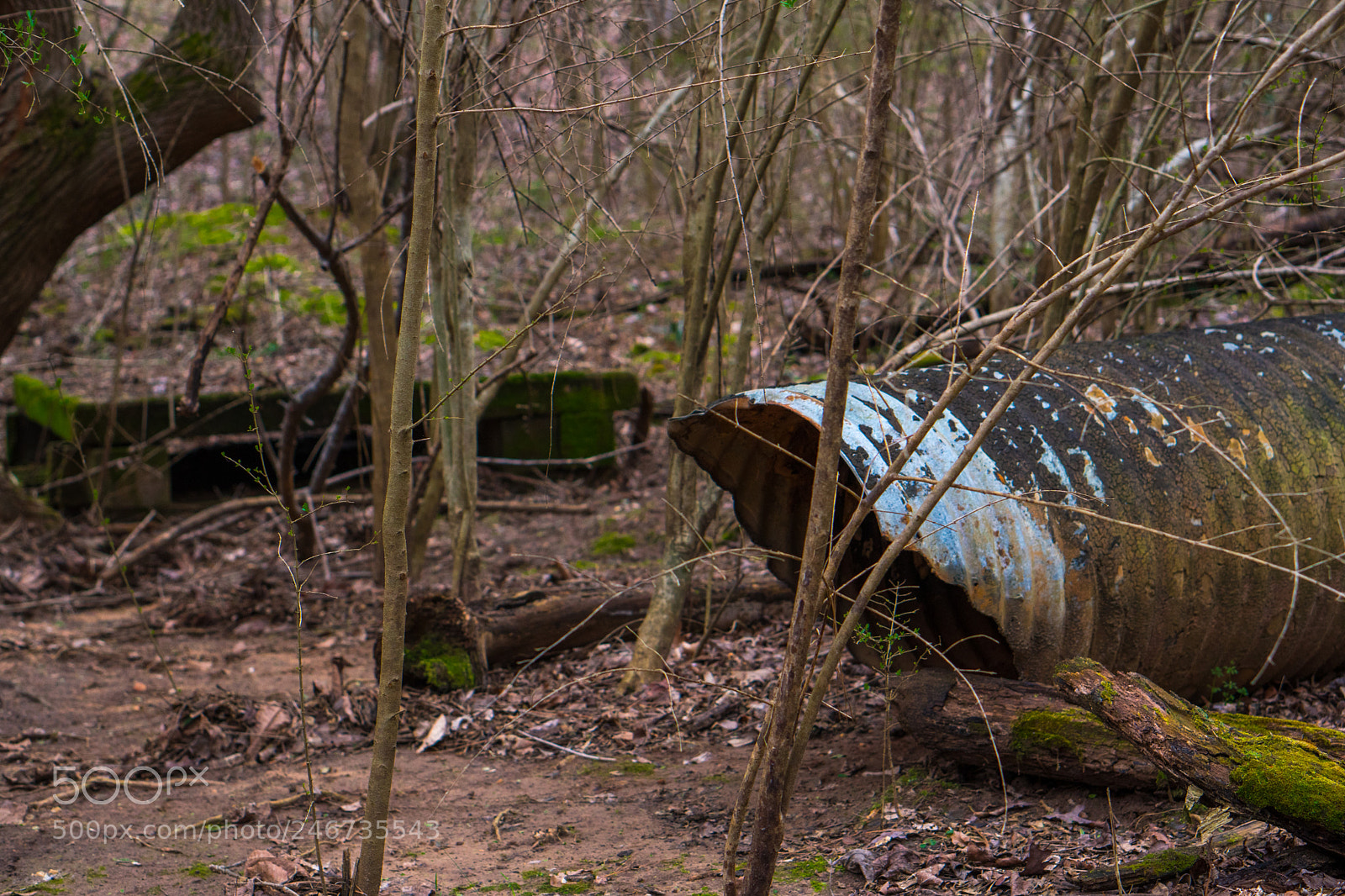 Sony a6500 sample photo. Arboretum (of ) photography