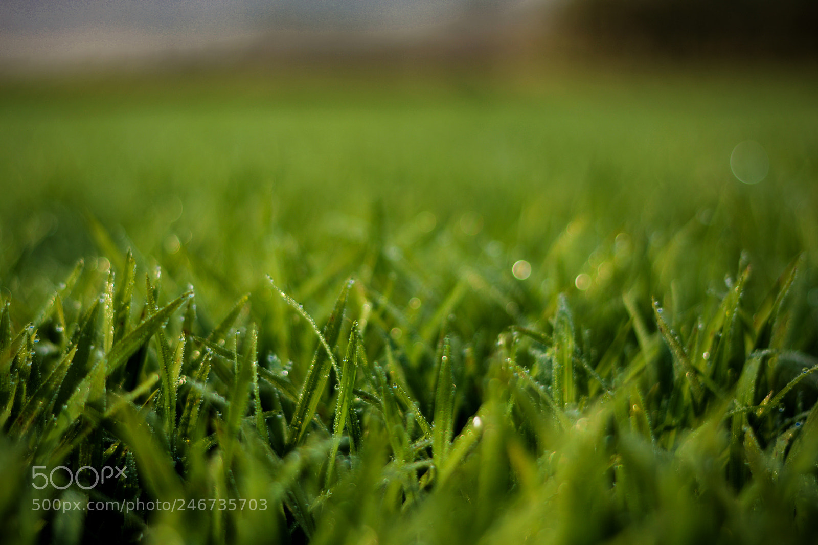 Nikon D5200 sample photo. Untitled photography