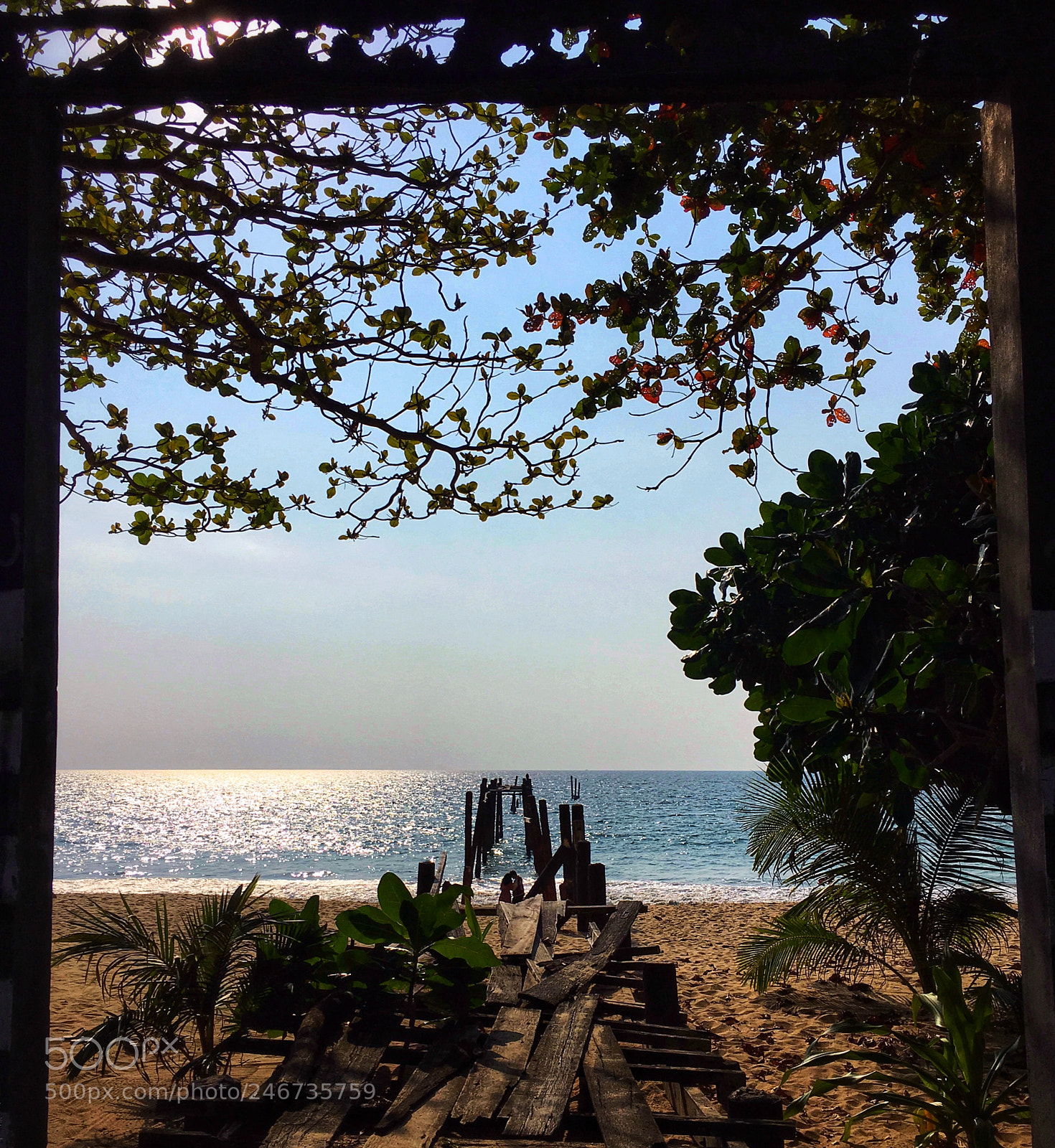 Apple iPhone 6s sample photo. We photography