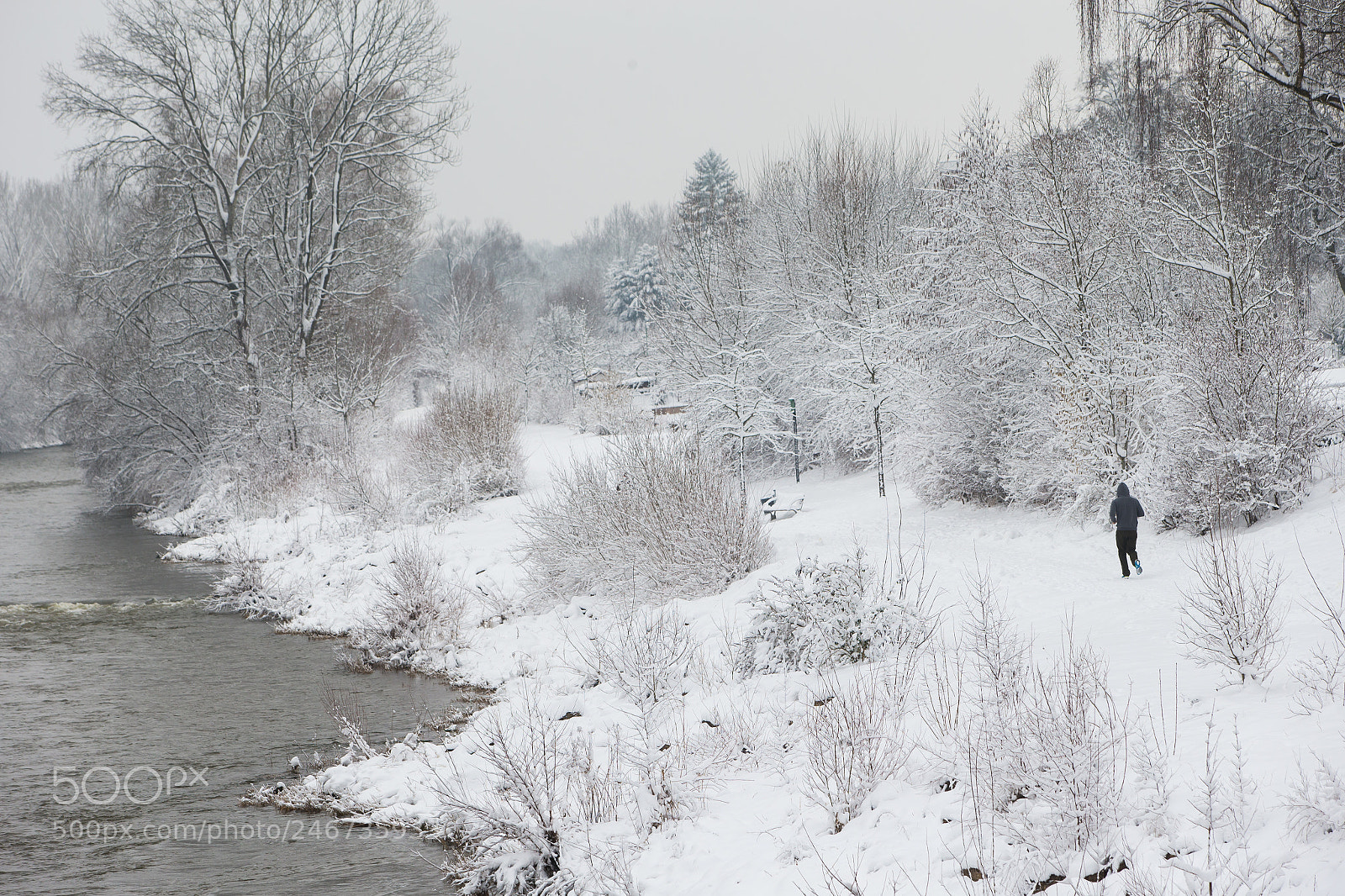Canon EOS-1D X sample photo. Jogging wintermorning photography