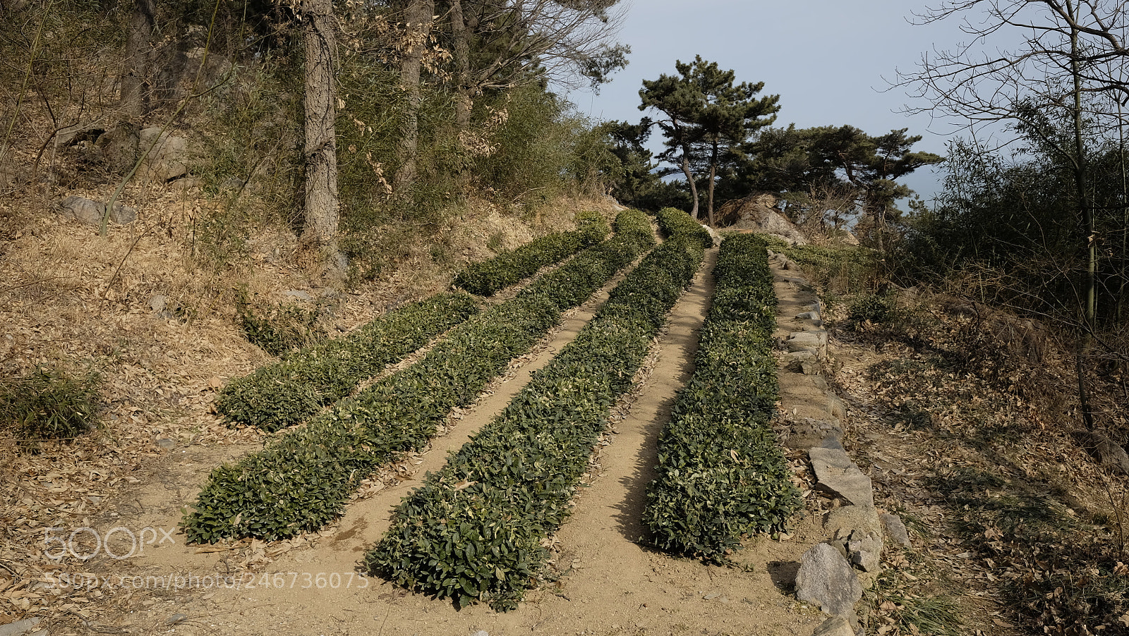 Fujifilm X70 sample photo. Title photography