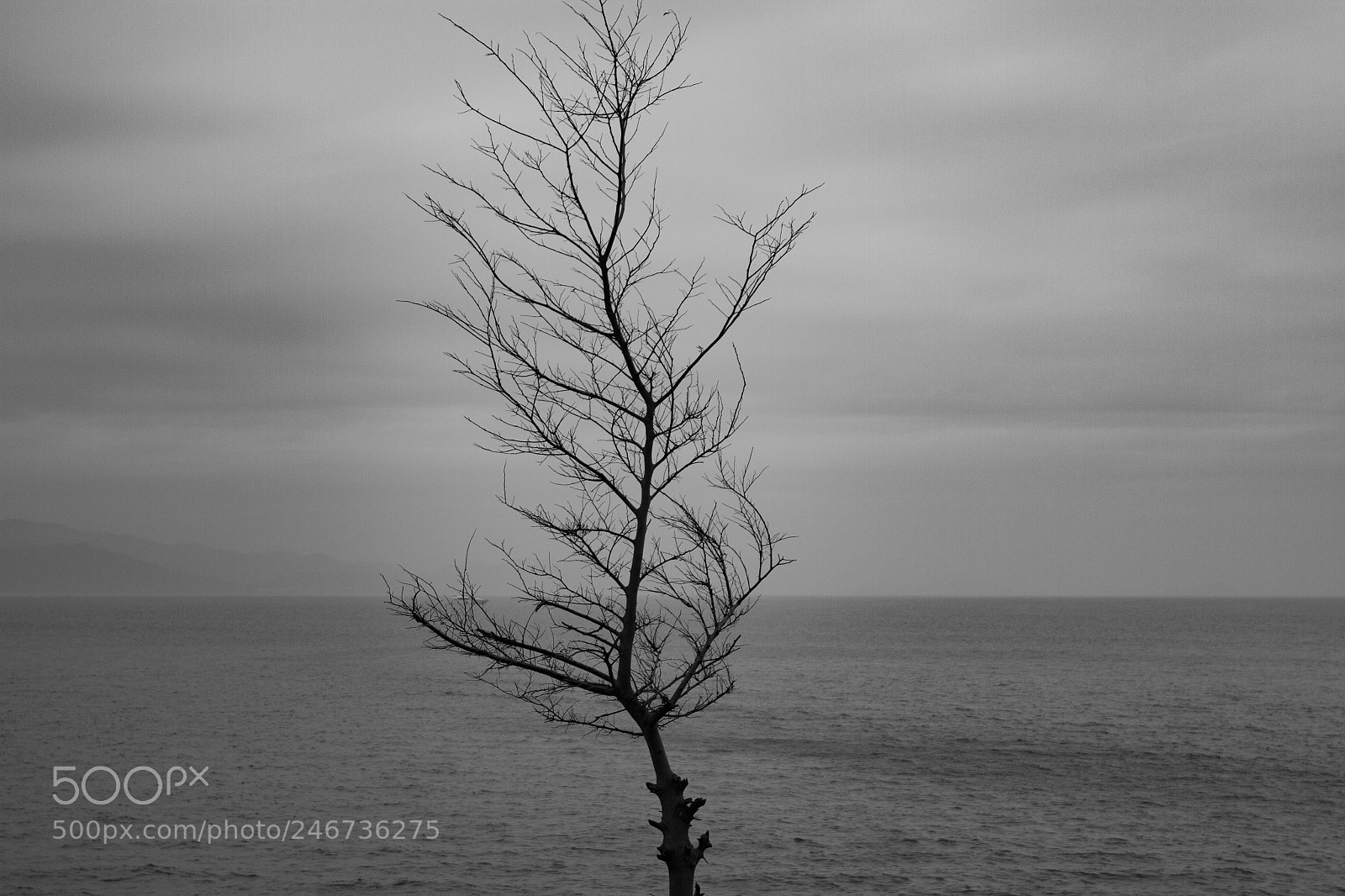 Canon EOS 7D sample photo. Untitled photography