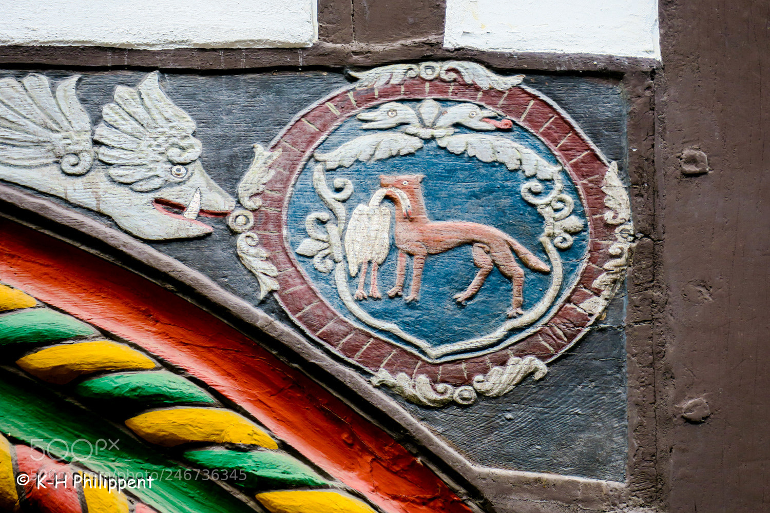 Canon PowerShot G3 X sample photo. Einbeck germany , fox photography