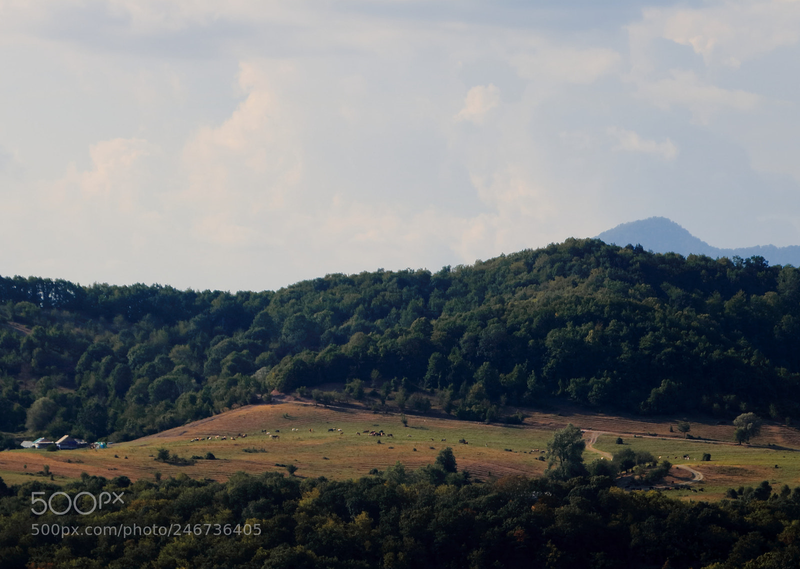 Canon EOS 750D (EOS Rebel T6i / EOS Kiss X8i) sample photo. Plateau photography