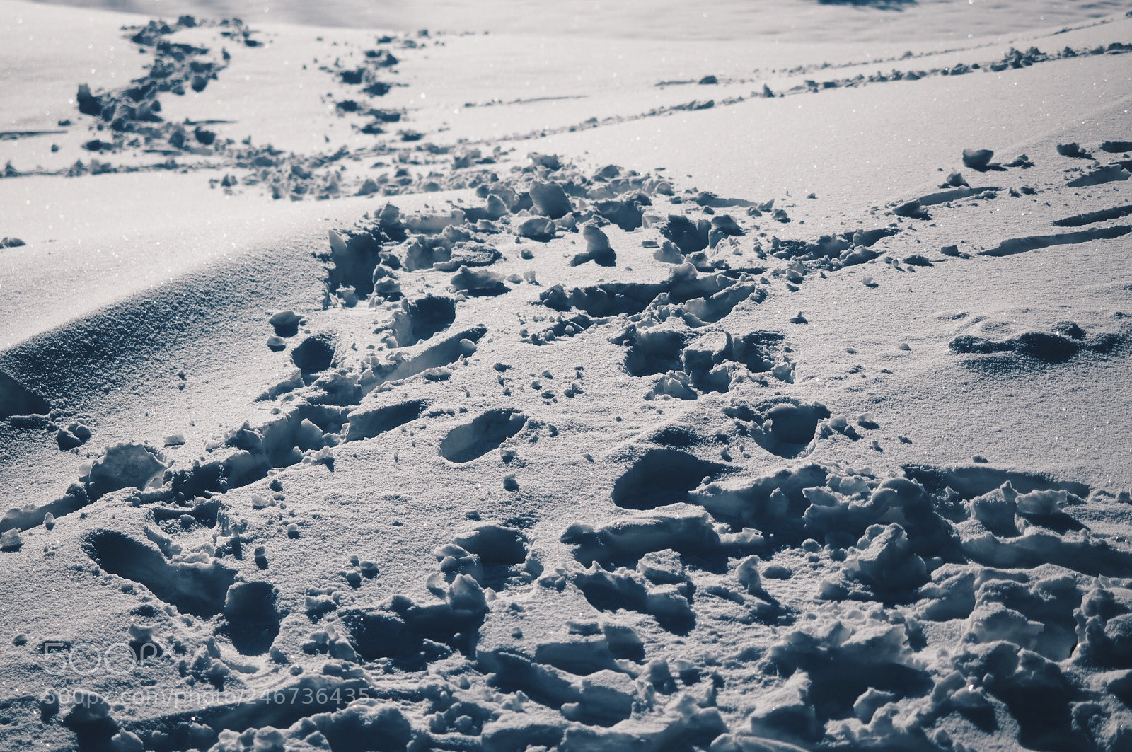 Olympus OM-D E-M10 sample photo. Yeti discovery photography