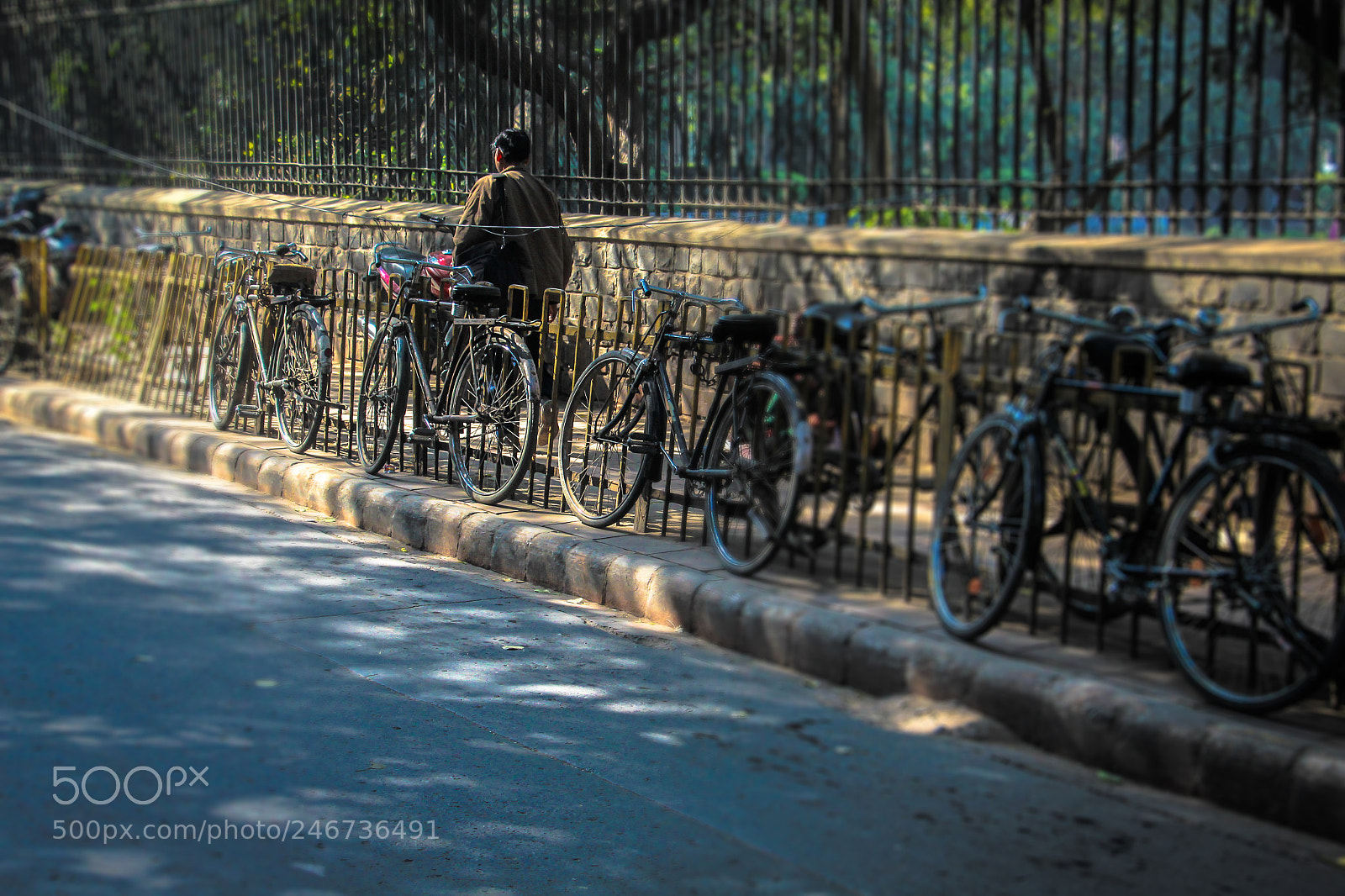 Canon EOS 700D (EOS Rebel T5i / EOS Kiss X7i) sample photo. Rarerealdelhi - on the photography