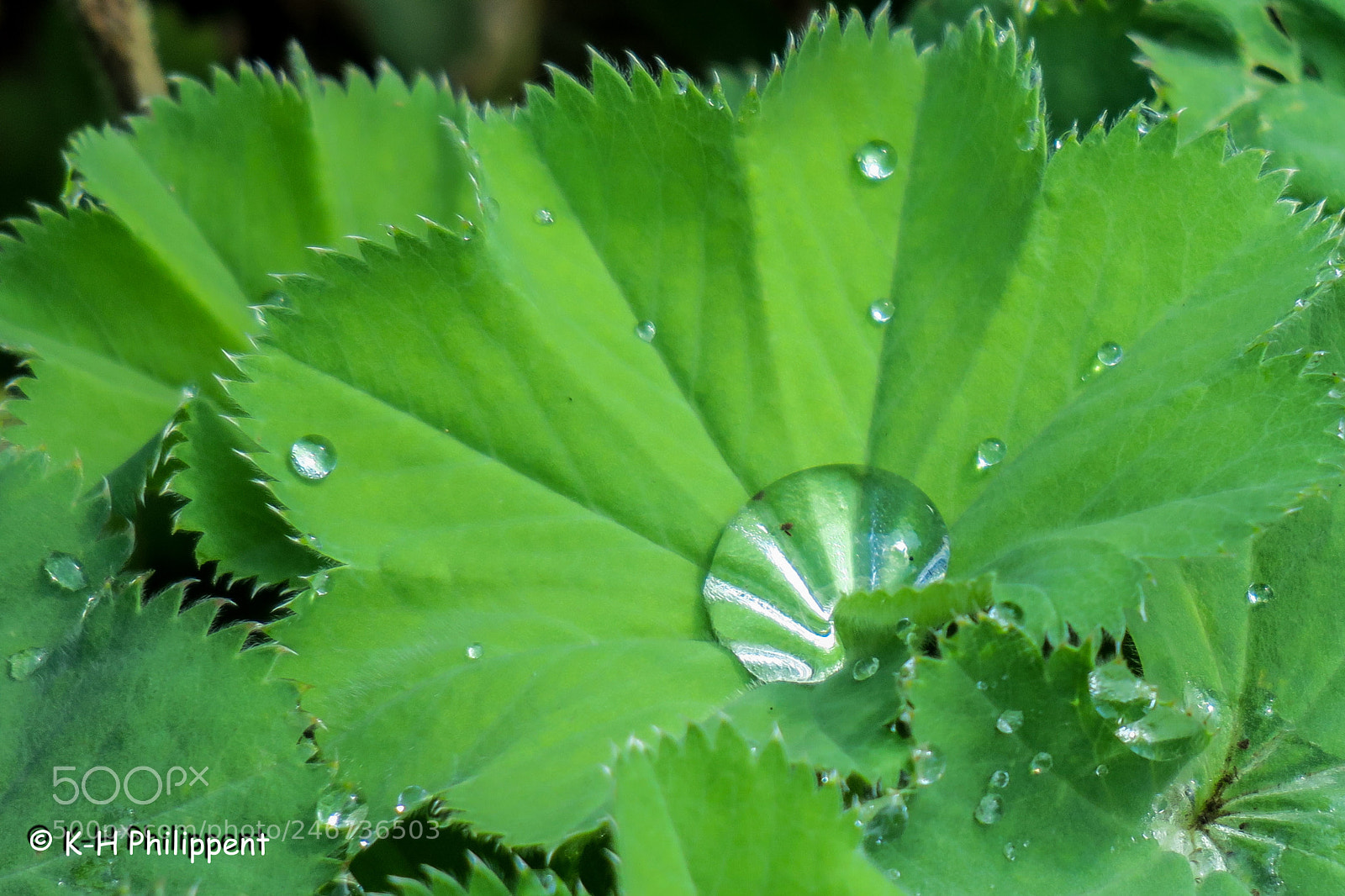 Canon PowerShot G3 X sample photo. Kassel germany , rainy photography