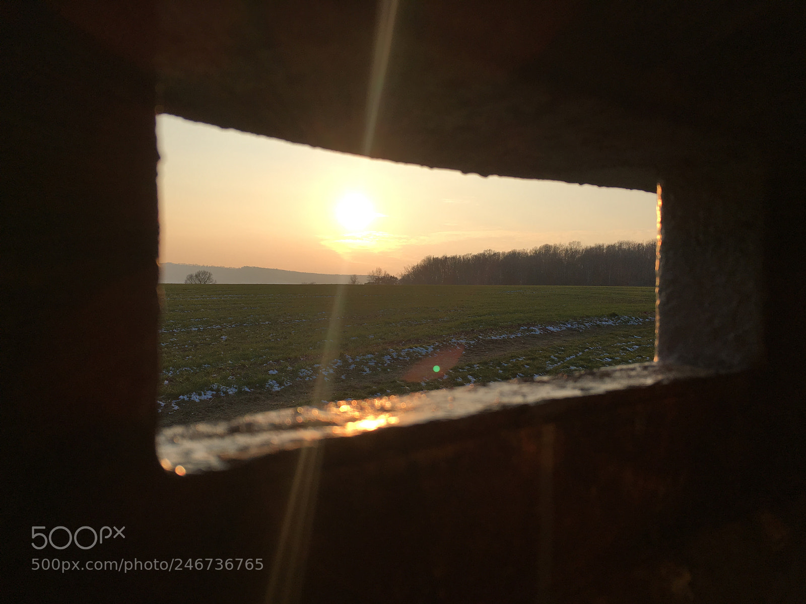 Apple iPhone SE sample photo. Die sonne scheint durch photography