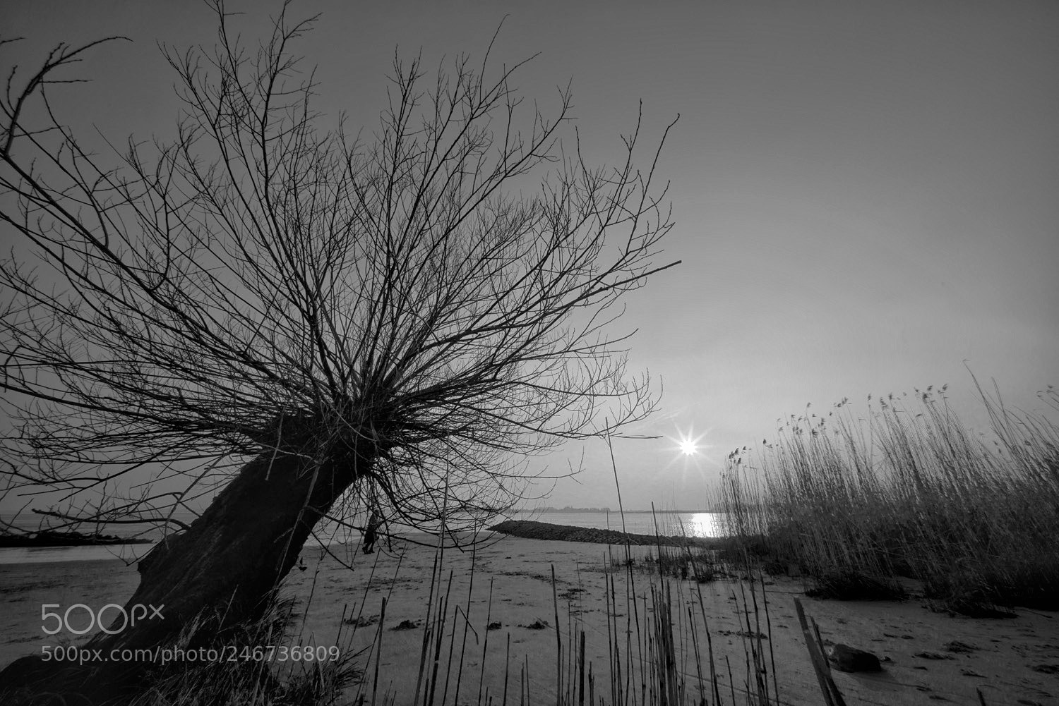 Sony a7R sample photo. Winter sunlight photography