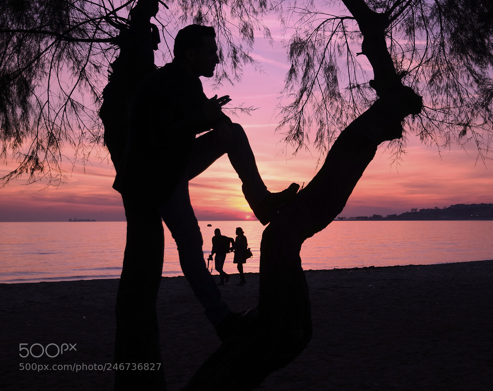 Samsung NX3000 sample photo. Untitled photography