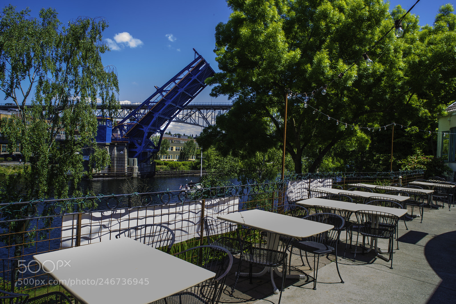 Nikon D800 sample photo. Seattle elk's club deck photography