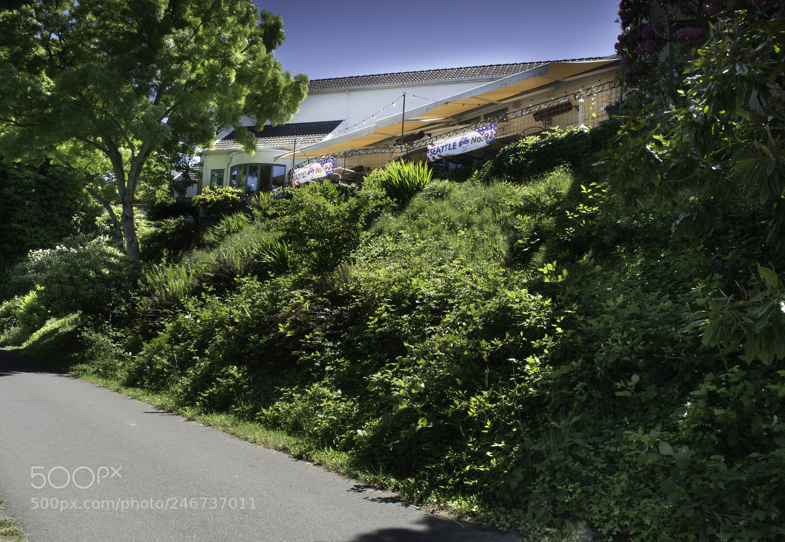 Nikon D800 sample photo. Seattle elk's club frm photography