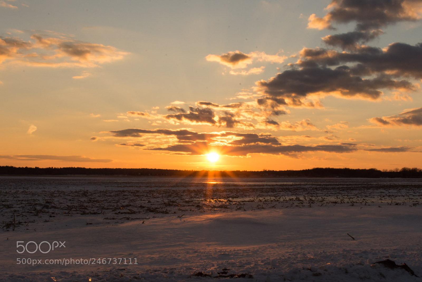 Nikon D7200 sample photo. Warm light photography