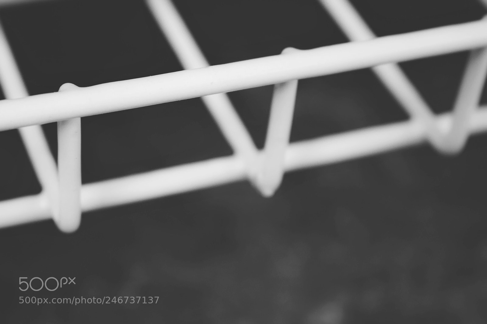 Canon EOS 750D (EOS Rebel T6i / EOS Kiss X8i) sample photo. Fading connections photography