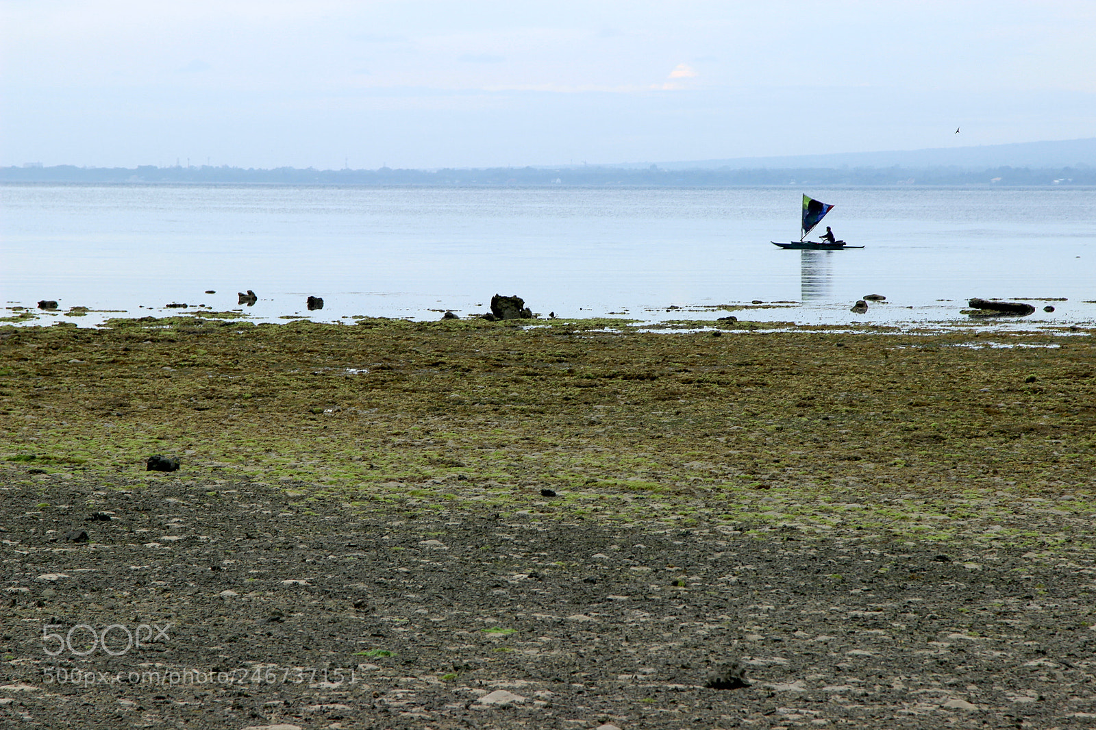 Canon EOS 600D (Rebel EOS T3i / EOS Kiss X5) sample photo. Frontview singleboat photography