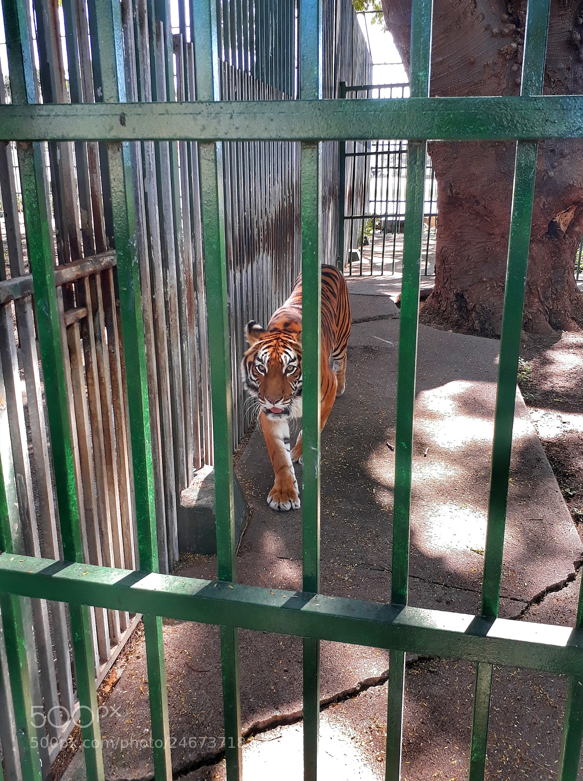 Samsung Galaxy J7 Prime sample photo. Life behind bars photography
