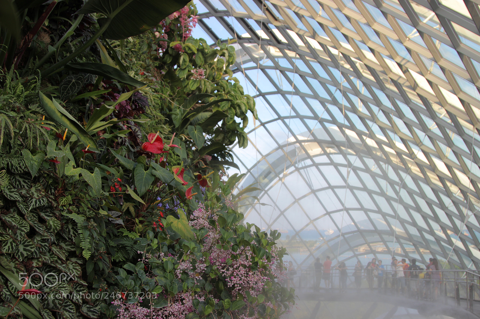 Canon EOS 600D (Rebel EOS T3i / EOS Kiss X5) sample photo. Insidegarden singa photography