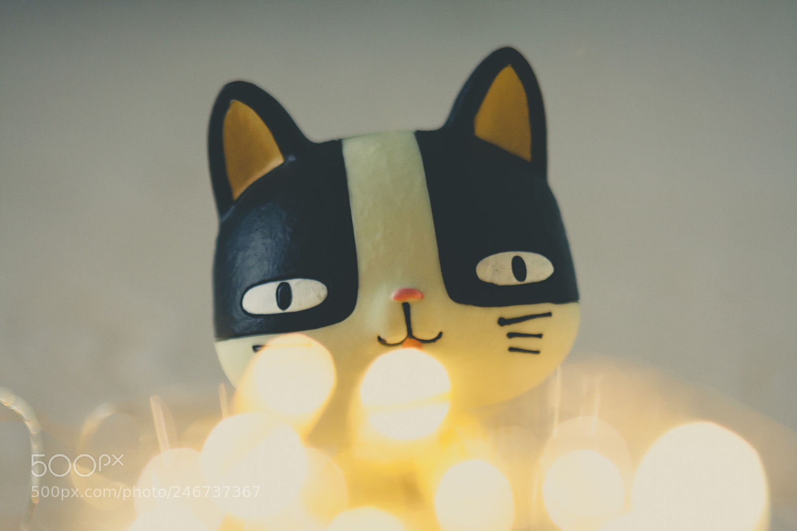 Canon EOS 40D sample photo. Stupid cat :d photography