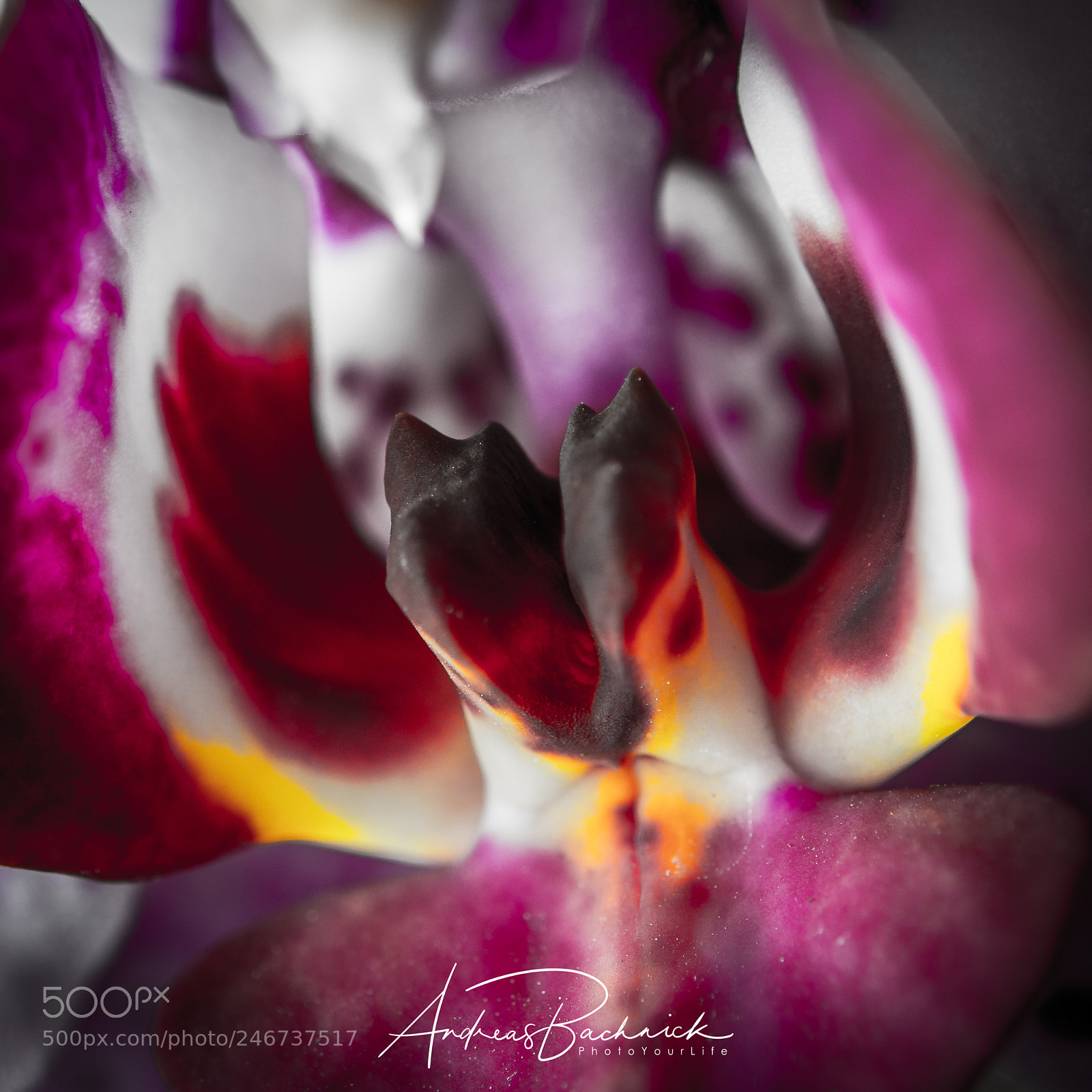 Nikon D5200 sample photo. Flames in a hot photography