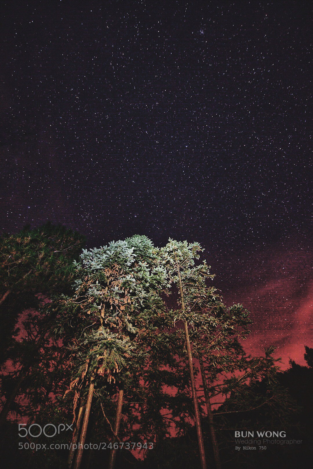 Nikon D750 sample photo. 夜空的星 photography