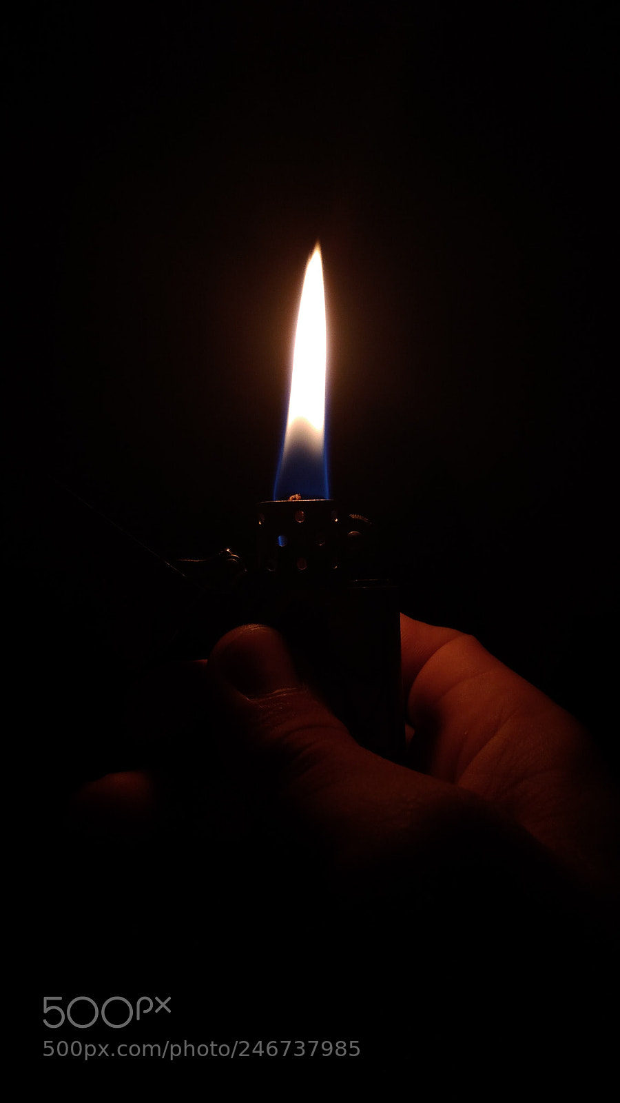 ASUS ZenFone 3 Max (ZC553KL) sample photo. Internal light. photography