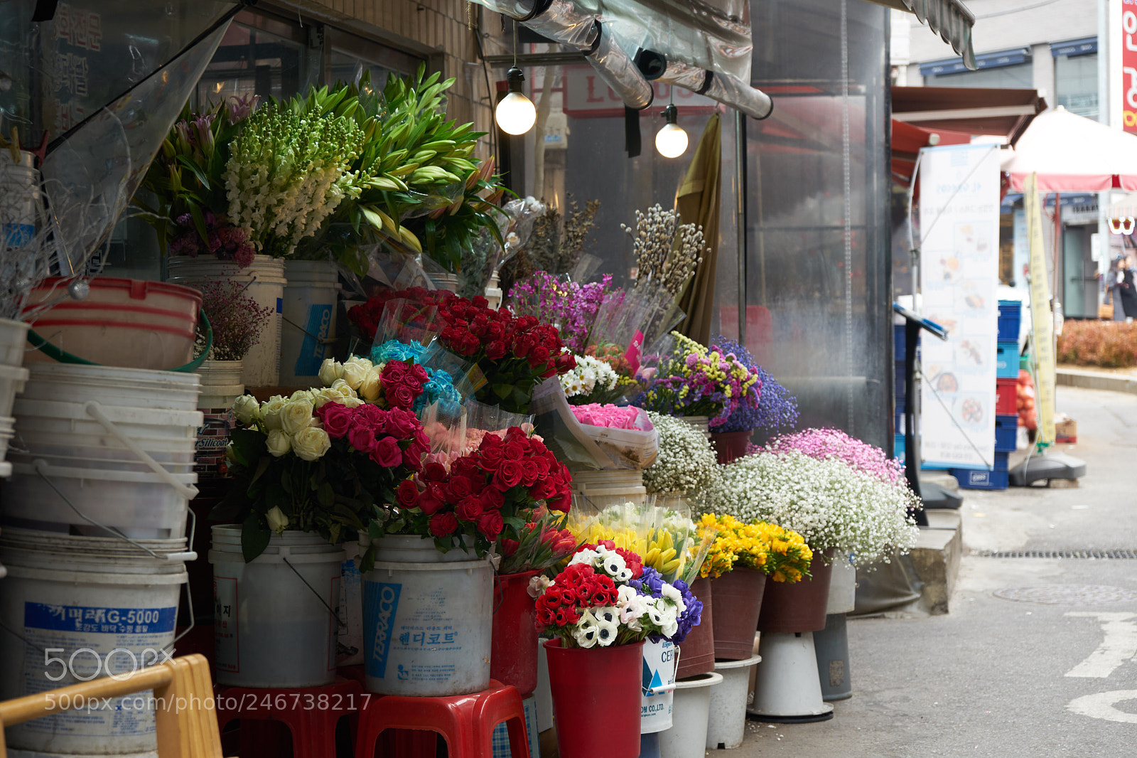 Sony a7 II sample photo. Flower at gyeongridan-gil photography