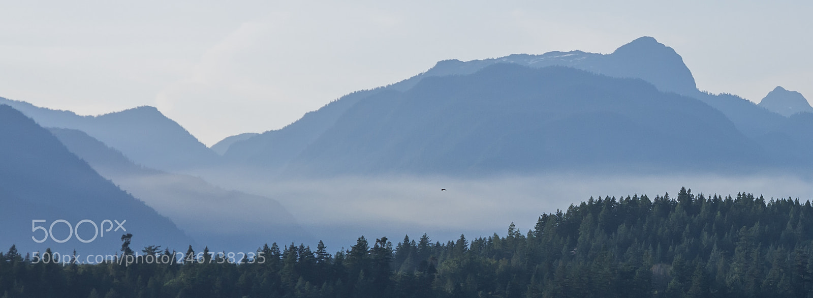 Pentax K-5 sample photo. Mist over the rockies photography