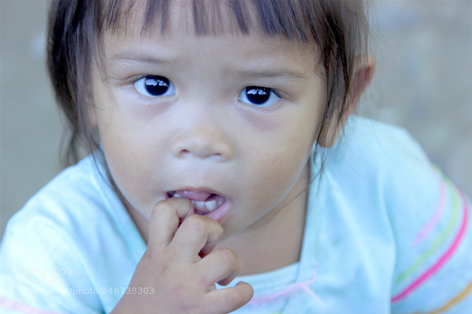 Canon EOS 600D (Rebel EOS T3i / EOS Kiss X5) sample photo. Clycly photography