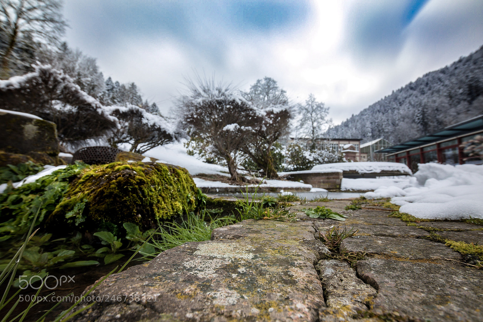 Canon EOS M5 sample photo. Bad teinach park photography