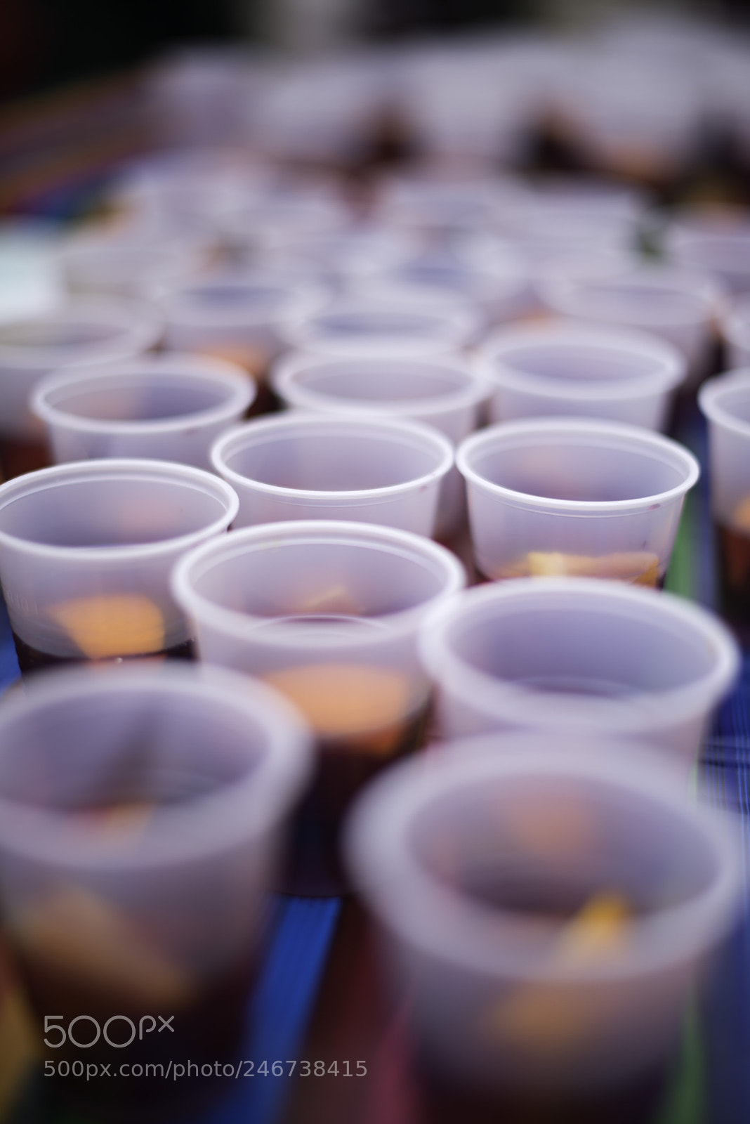 Nikon D800 sample photo. Untitled photography