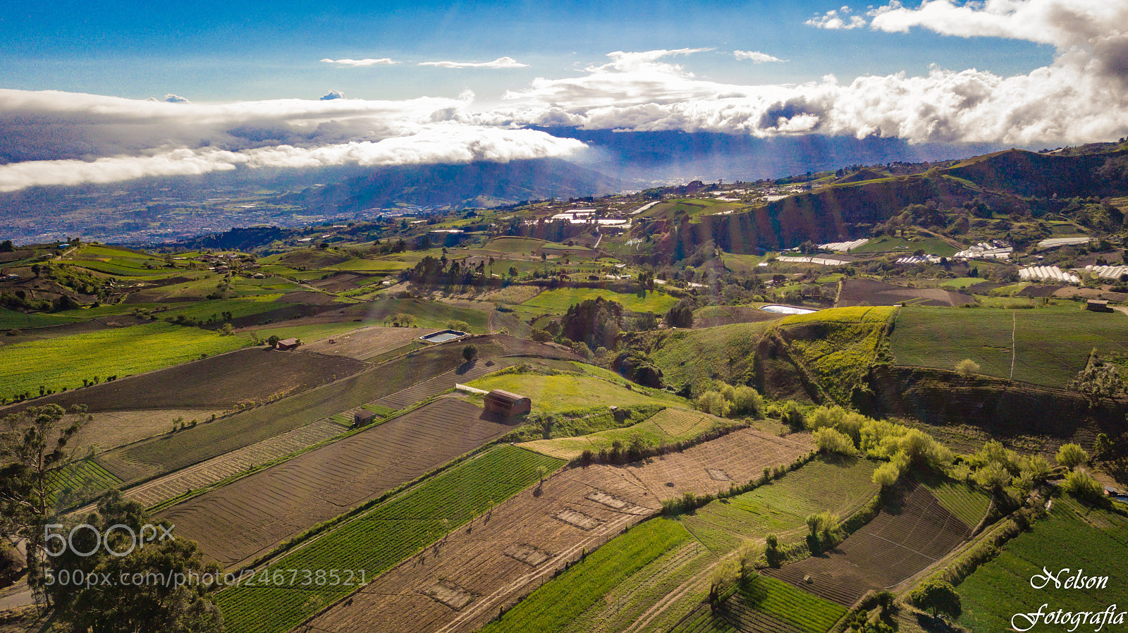 DJI FC220 sample photo. Untitled photography