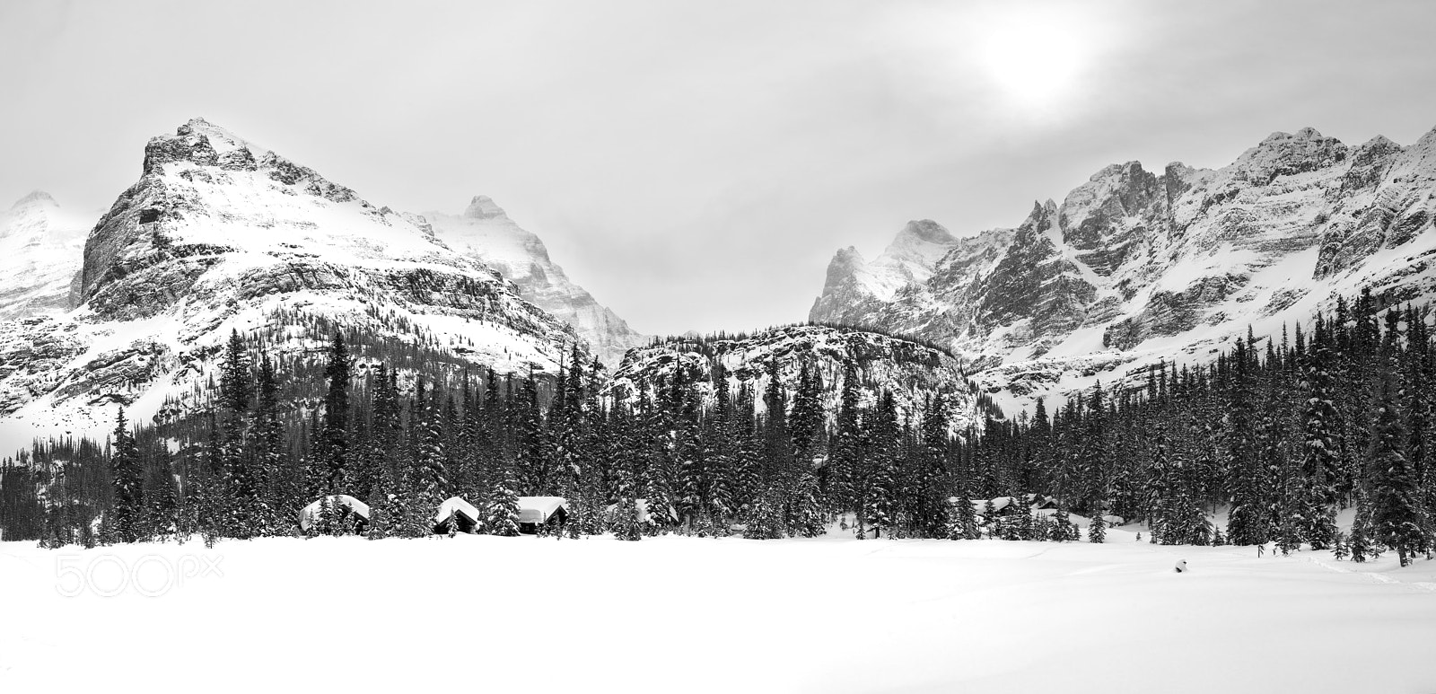 Nikon D810 sample photo. Winter paradise photography