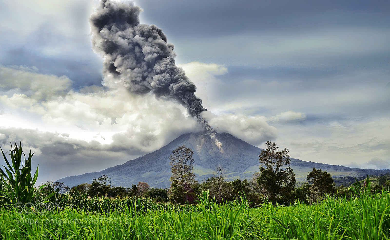 Nikon D3100 sample photo. Sinabung volcano years ago photography