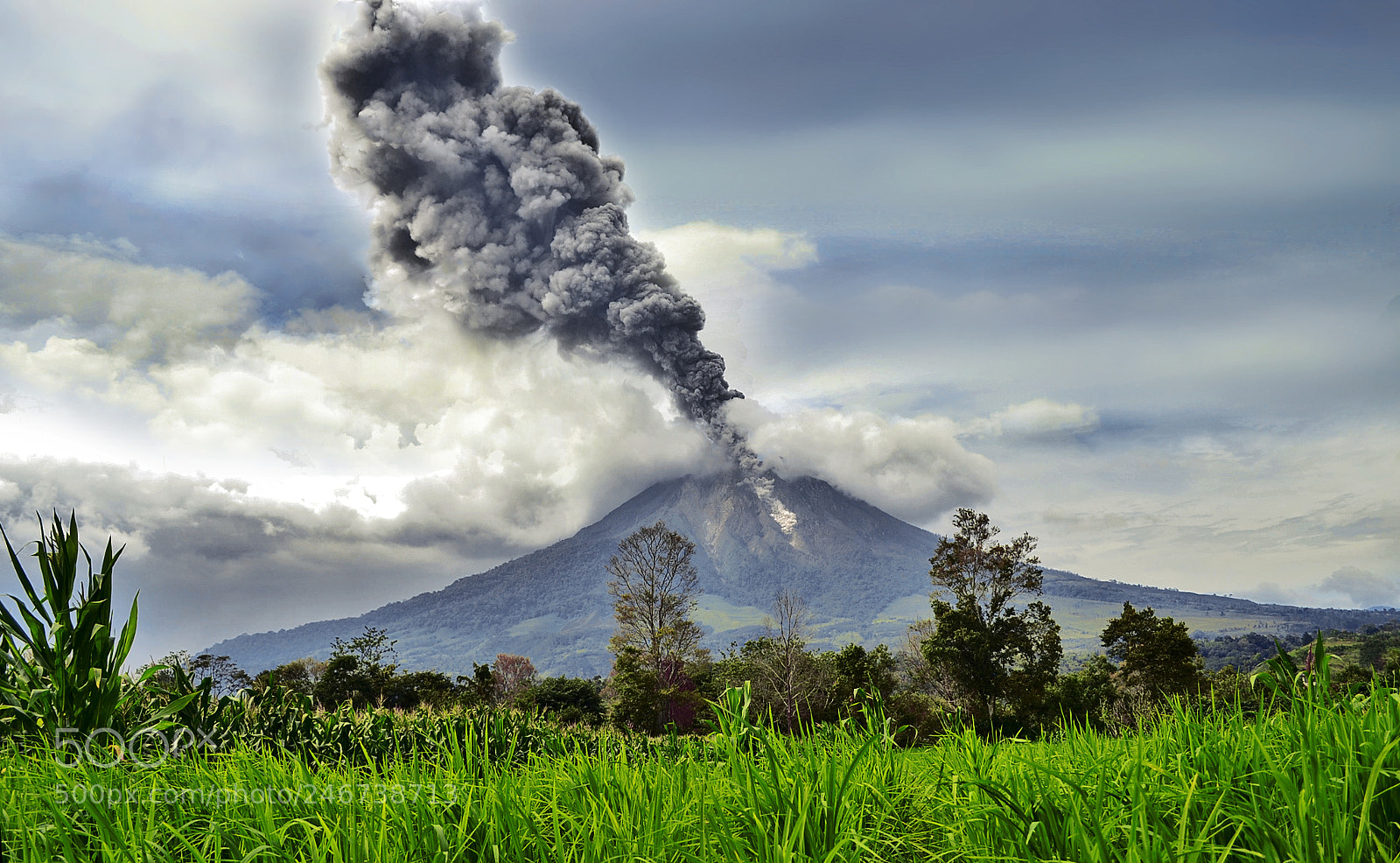 Nikon D3100 sample photo. Sinabung volcano years ago photography